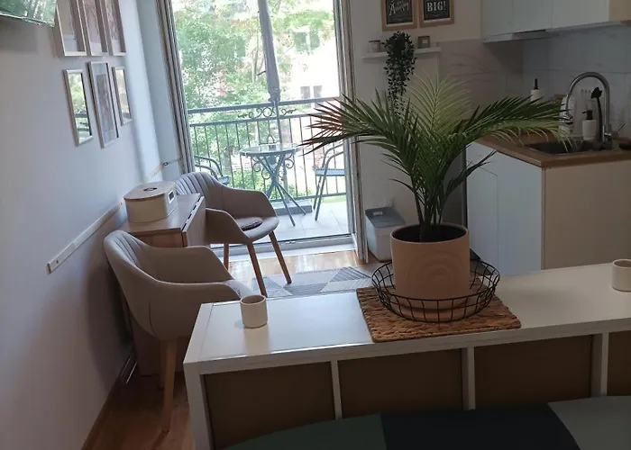 Studio Siesta